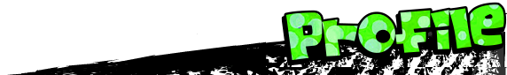 �v���t�B�[��